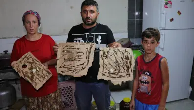 Adana'da bir mahalleyi böcekler istila etti