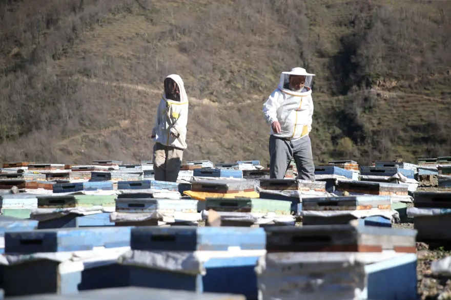 80 yaşında 50 yıl önce başladığı mesleği sürdürüyor: Sayısını 450'ye çıkardı 1