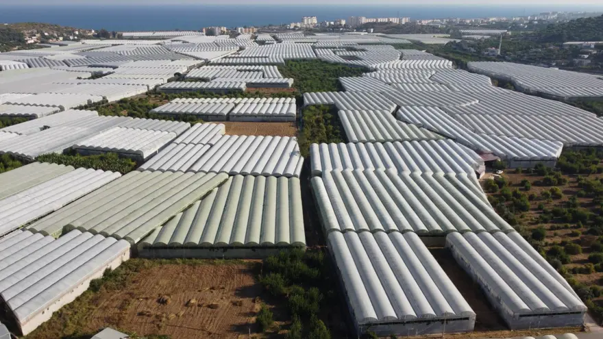 "DURUMU OLAN DA OLMAYAN DA UYGUN FİYATA MUZ ALABİLSİN" 7