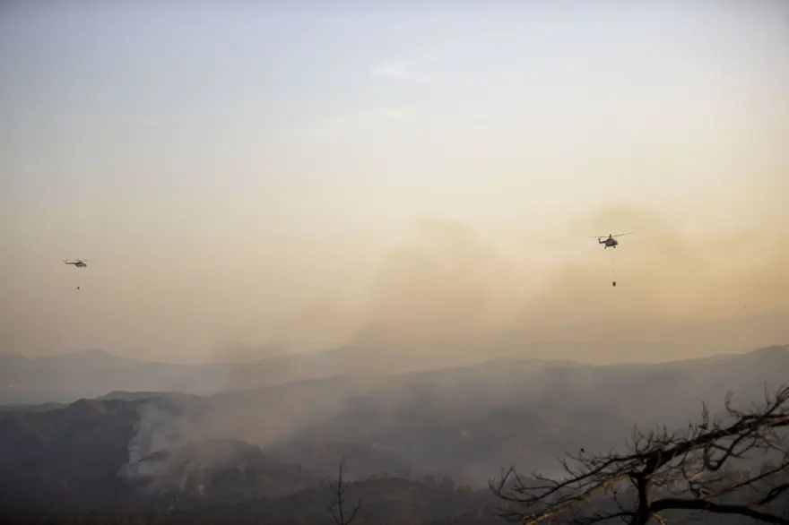 Cumhurbaşkanı Erdoğan: Marmaris'teki orman yangını büyük oranda kontrol altında 65
