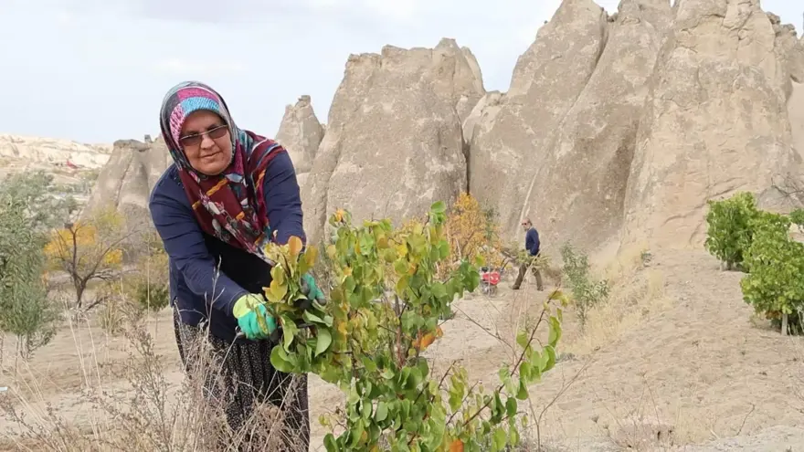 Eşiyle birlikte el ele verdi: Özenle bakımını yapıyorlar 1