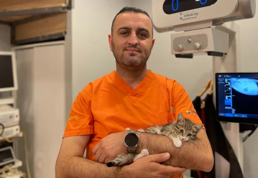 Bu kedi tavuk sesi çıkarıyor! 1