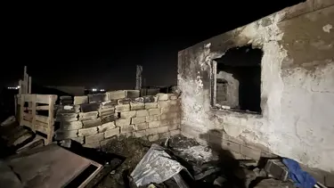 Ahırda yangın çıktı, 170 koyun öldü