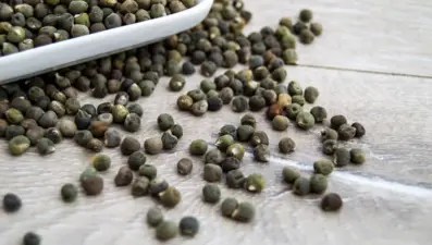 Bamya tohumunun faydaları nelerdir? Neye iyi gelir? Bamya tohumu nasıl tüketilir?