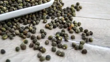 Bamya tohumunun faydaları nelerdir? Neye iyi gelir? Bamya tohumu nasıl tüketilir?