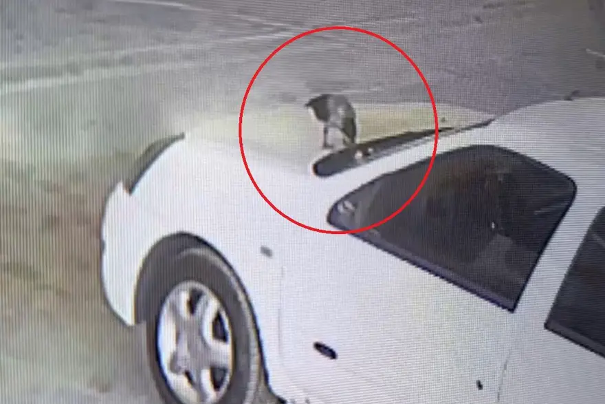 Karga arabanınanahtarını alıp kaçtı, çalışanlar peşinden koştu 2