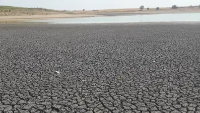 Edirne’de Kurtbey Göleti’nde korkutan görüntü