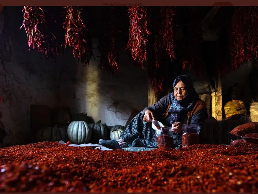 “Haydi! Yeşil Gelecekler” fotoğraf yarışmasının ödülleri açıklandı 1 “Haydi! Yeşil Gelecekler” fotoğraf yarışmasının ödülleri açıklandı 1