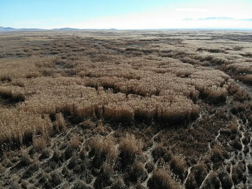 Eber Gölü'ndeki suların çekilmesiyle kayık mezarlığı oluştu 