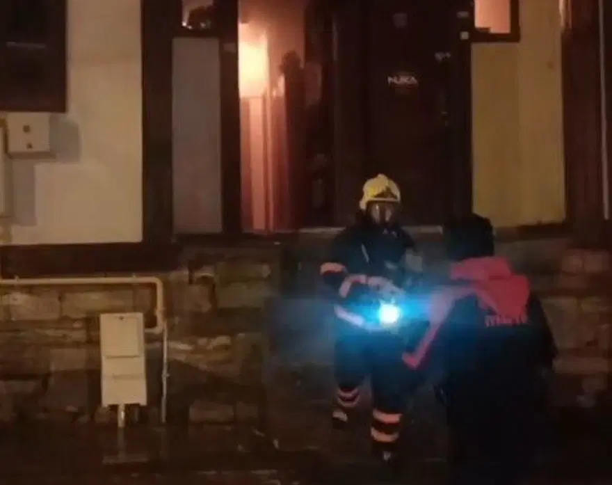 Yangında mahsur kalan kediyi itfaiye ekipleri kurtardı Yangında mahsur kalan kediyi itfaiye ekipleri kurtardı