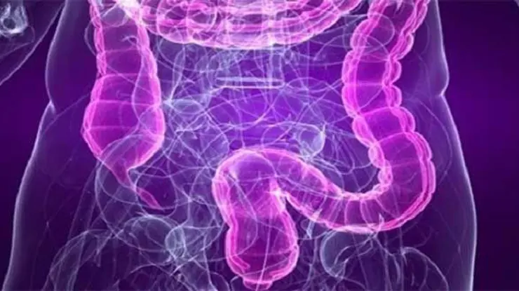 Bağırsaklardaki serotonin mutlu eder mi?