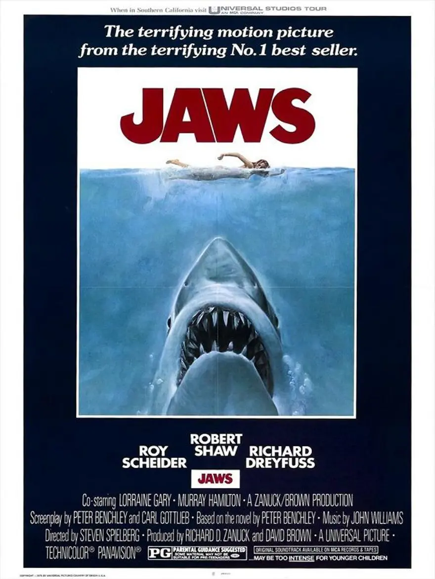 JAWS 4
