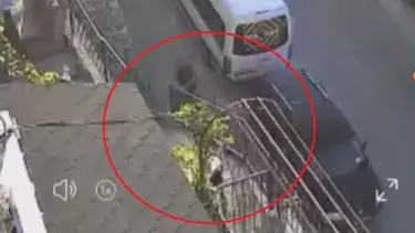 Vicdansız! Havlamasından rahatsız oldu, köpeği taş ve sopayla dövdü