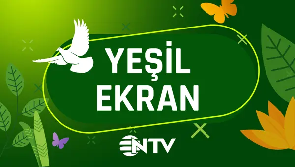 YEŞİL EKRAN