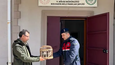 Keklik avına binlerce lira ceza