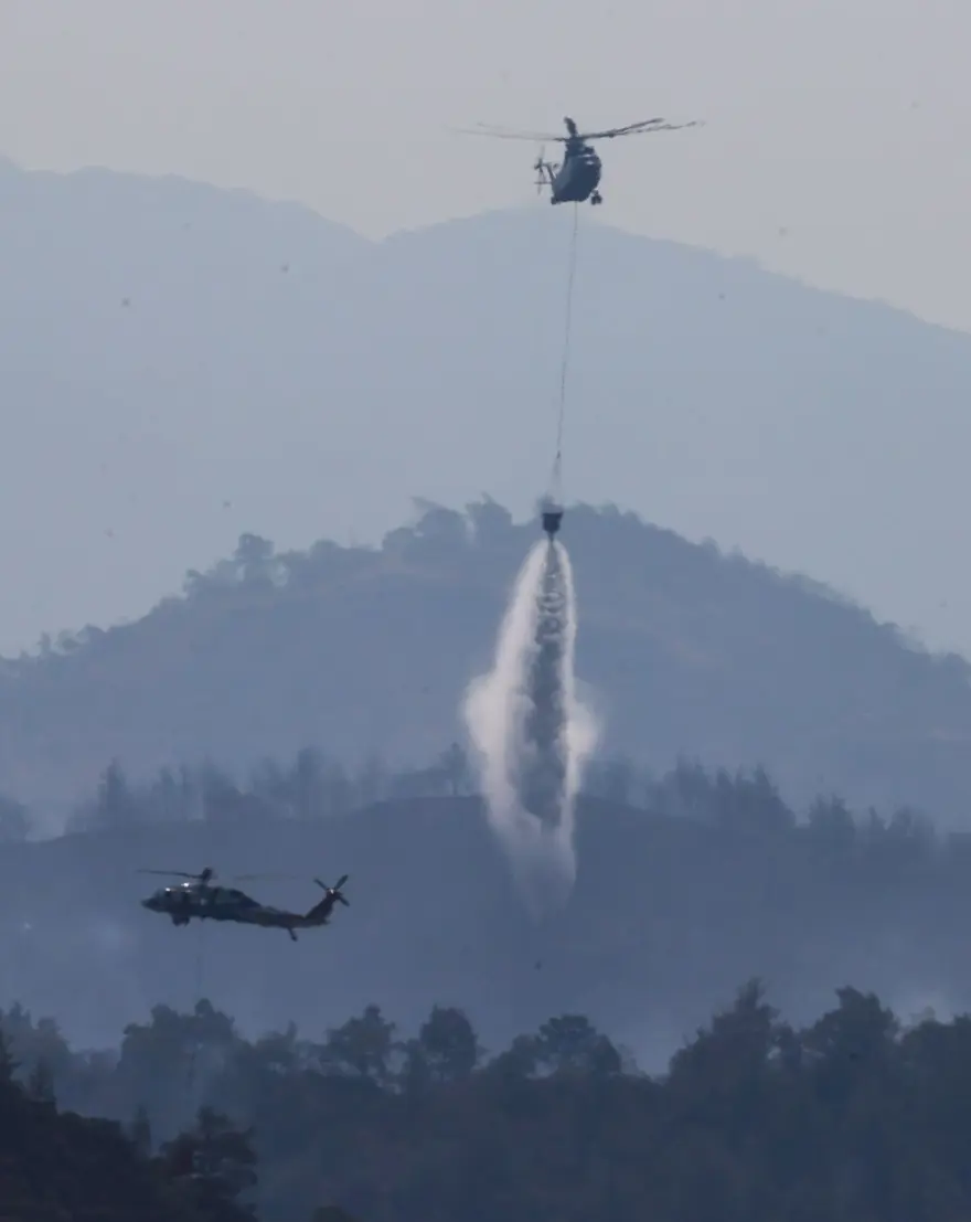Cumhurbaşkanı Erdoğan: Marmaris'teki orman yangını büyük oranda kontrol altında 89