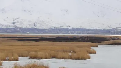 Onlarca kuş türüne ev sahipliği yapıyor: Dilkaya Sazlığı'nda yangın