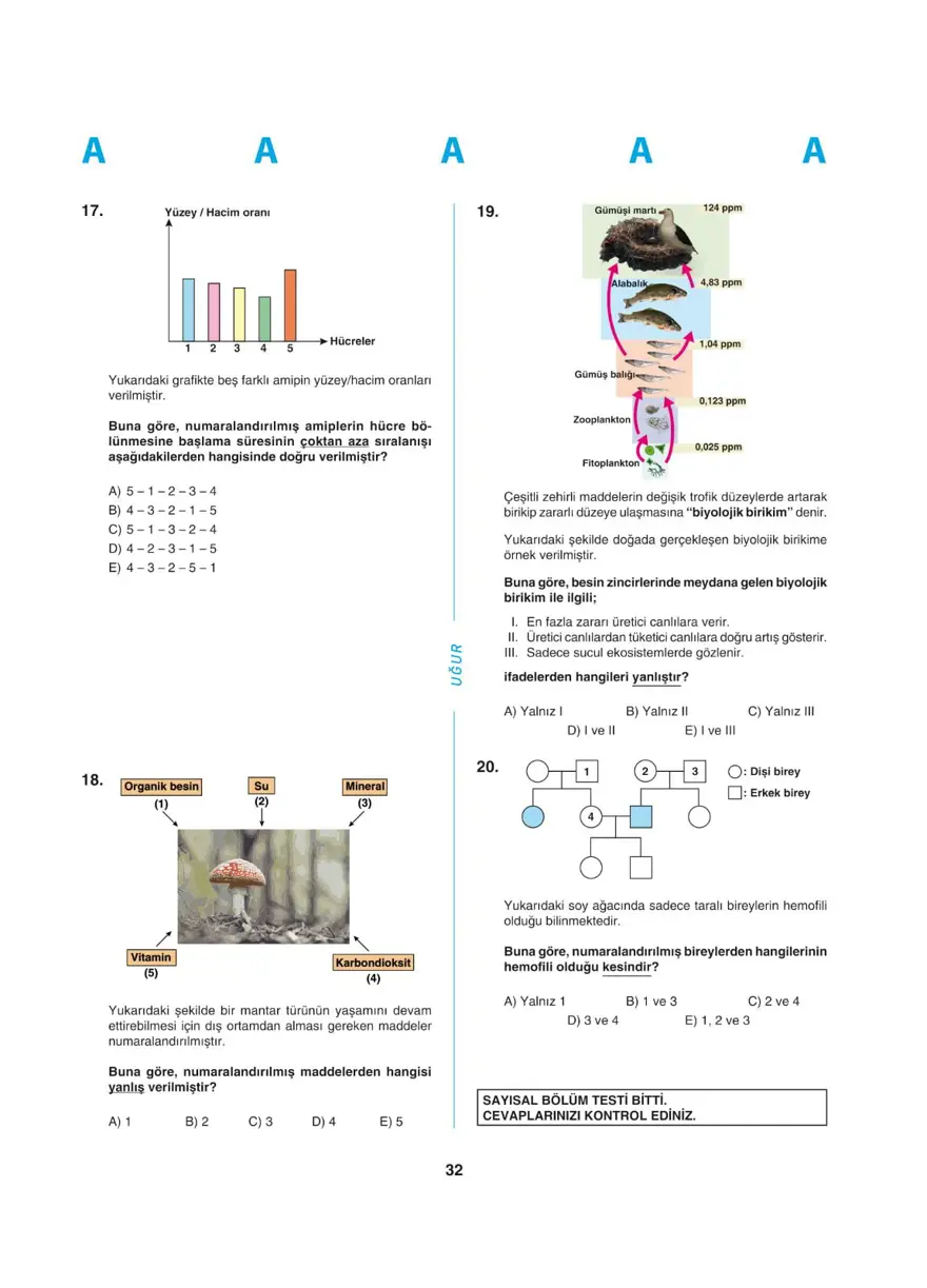 Uğur Okulları YKS - TYT deneme sınavı 31