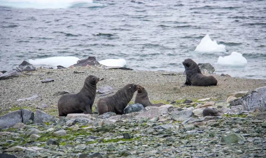 TÜM KARASAL EKOSİSTEMLERDE SONUÇLARI OLACAK 9