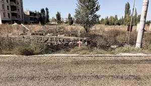 Otları yakmak isterken alevlerin arasına düştü