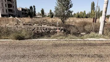 Otları yakmak isterken alevlerin arasına düştü