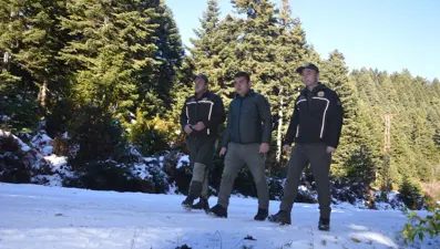 Ormancılar yılbaşı öncesi çam nöbetinde