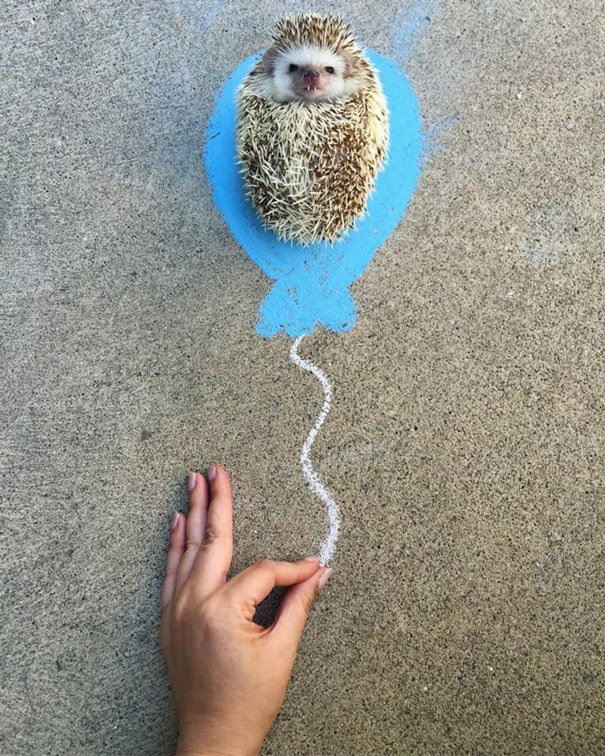 Instagram'ın son yıldızı 1