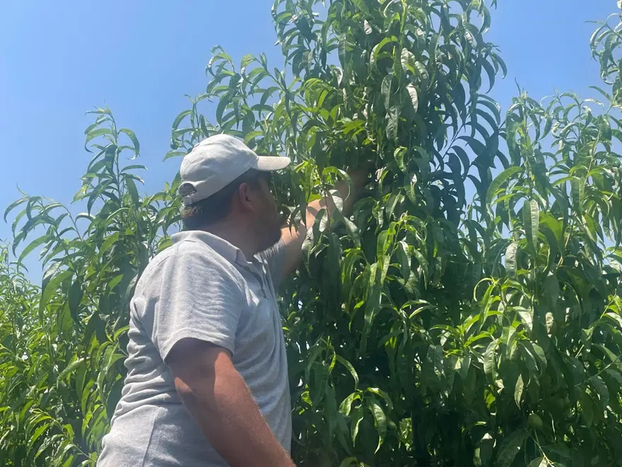 "BU YAZ BOLLUK YAŞANMAZ" 3 "BU YAZ BOLLUK YAŞANMAZ" 3