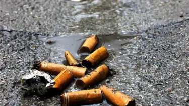 Bolu'da 6 bankaya sigara izmariti cezası