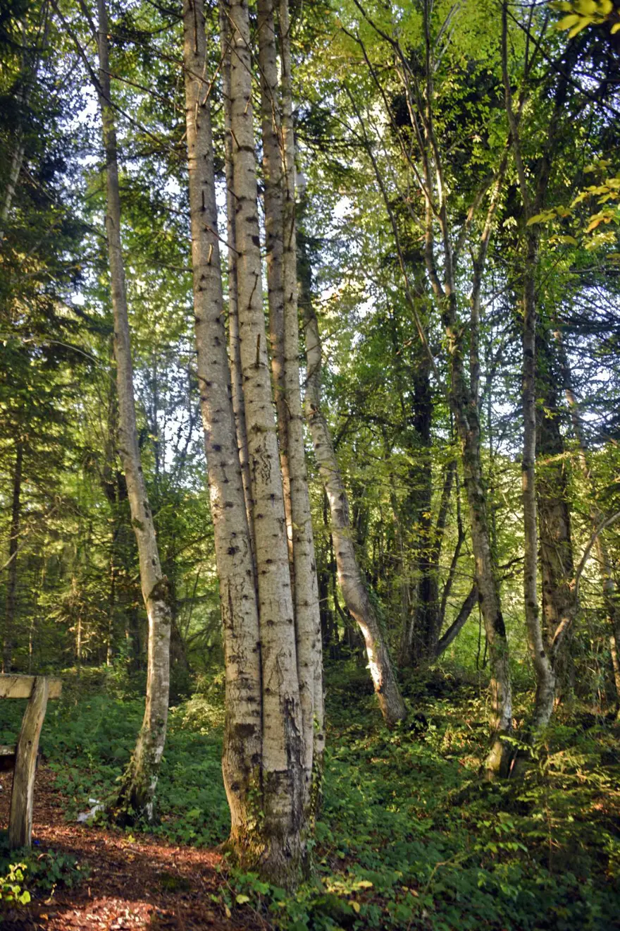 "HEM DOĞA HEM DE İNSANLAR İÇİN HARİKA BİR GÖRÜNTÜ" 2