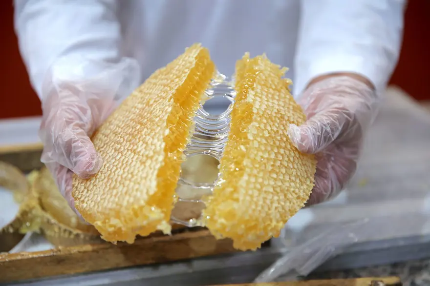 Devlet desteğiyle tesis kurdu: 20 kişiye iş imkanı sağladı 