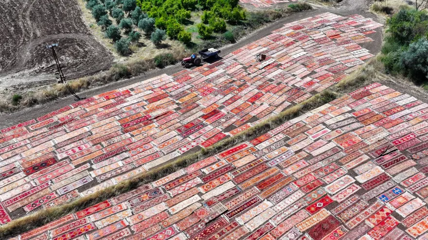 Antalya'da tarlalara serilen halılar görsel şölen sunuyor 6