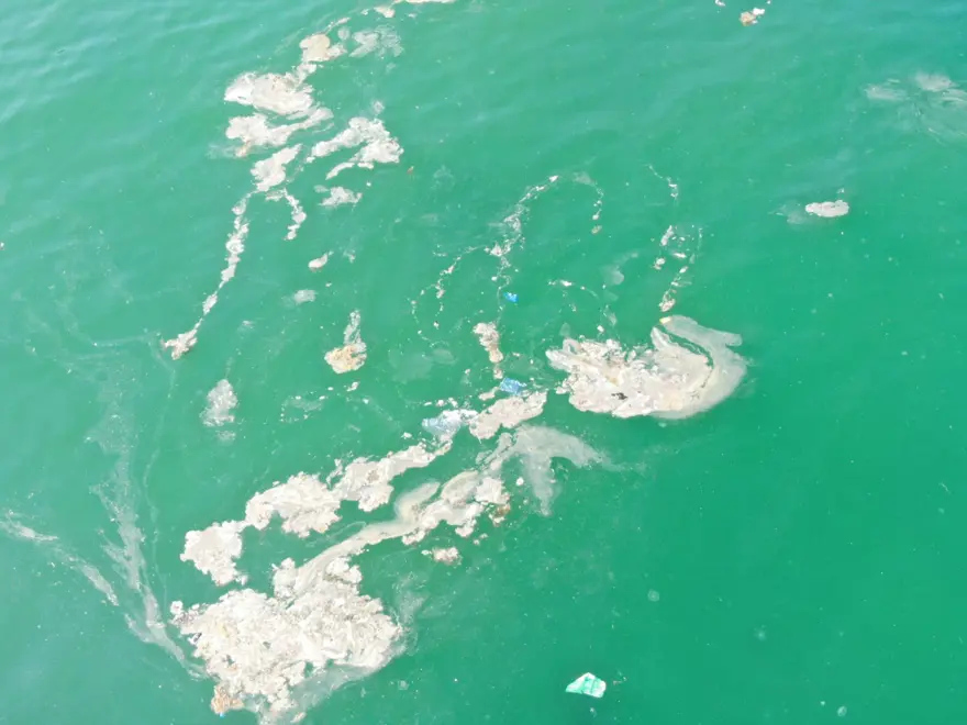 AVCILAR SAHİLİNDE MÜSİLAJ 3