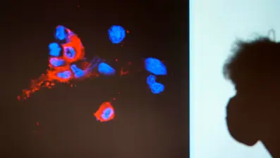 DSÖ: Omicron'un BA.2 alt varyantı diğerlerine göre daha bulaşıcı