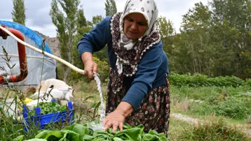 10 dönüm arazide tek başına 14 çeşit yetiştiriyor: İlçede siparişlere yetişemiyor