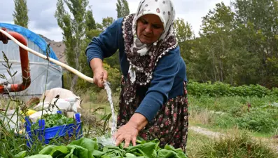 10 dönüm arazide tek başına 14 çeşit yetiştiriyor: İlçede siparişlere yetişemiyor