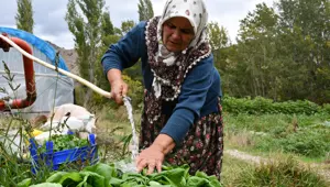 10 dönüm arazide tek başına 14 çeşit yetiştiriyor: İlçede siparişlere yetişemiyor