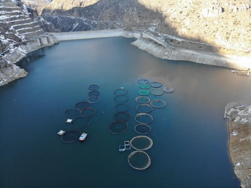 Denize kıyısı olmayan ilde 70 bin ton somon ihracatı yapıldı! Japonya, Çin ve Rusya da bizden alıyor 1