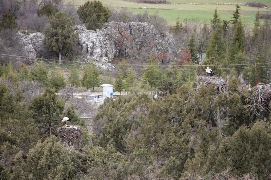 Leyleklere BBG evi 6 Leyleklere BBG evi 6