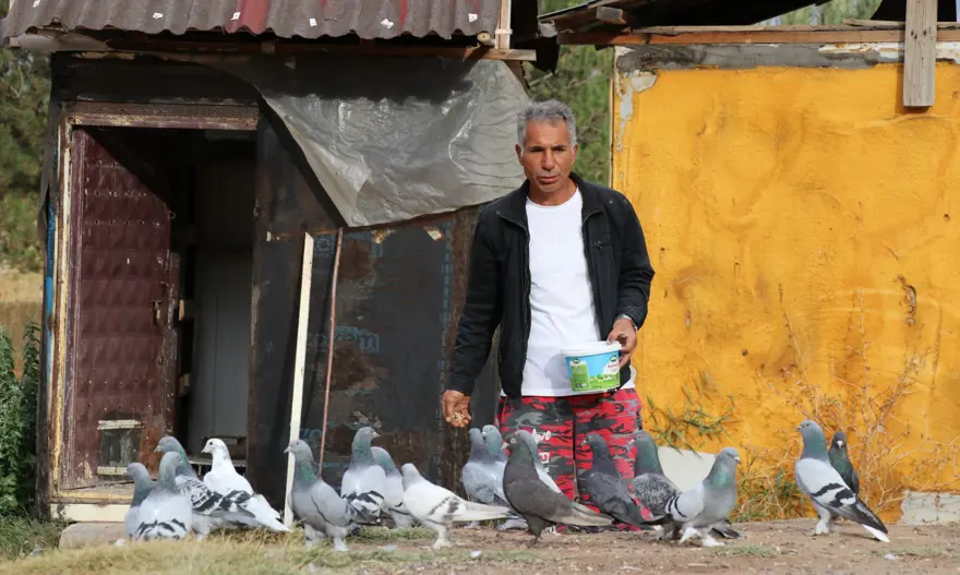 Değeri yarım milyondan fazla: Yurt dışından bile talep görüyor 5