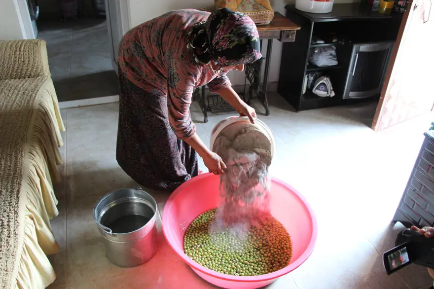 Hatay'ın benzersiz lezzeti: Küllü yeşil zeytin 1