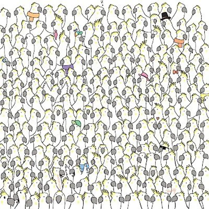 KAKADU PAPAĞANI VE DÖRT GÜVERCİN 11