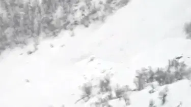 Erzurum'da iki kişi çığ altında kaldı