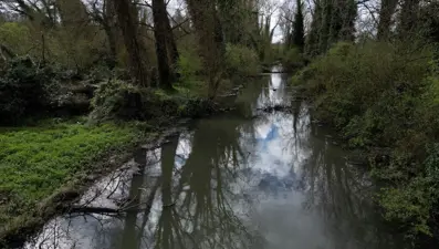Nehirlerde "sonsuz kimyasal" tespit edildi: Etkisi ömür boyu sürüyor