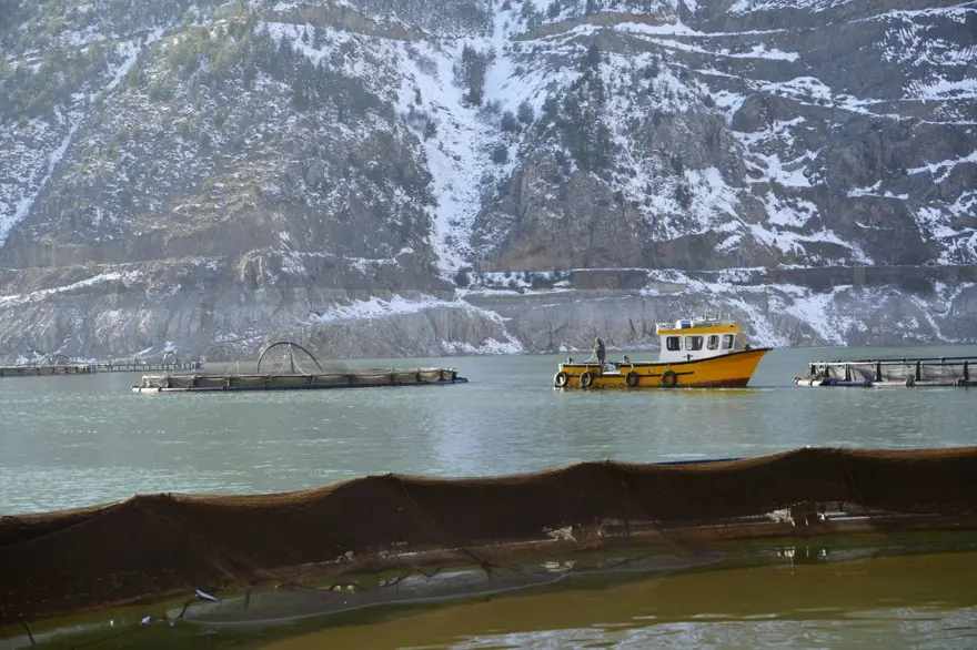 Denize kıyısı olmayan ilde 70 bin ton somon ihracatı yapıldı! Japonya, Çin ve Rusya da bizden alıyor 6