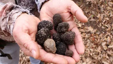 1,2 milyon TL gelir elde edildi: Üretimi sürüyor