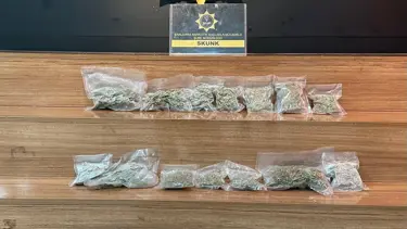 Şanlıurfa’da 2 kilo skunk ele geçirildi