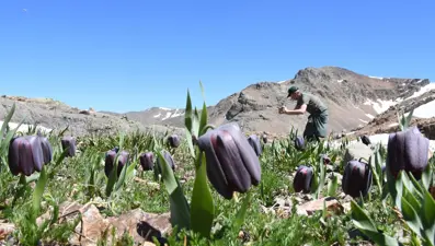 Artabel Gölleri Tabiat Parkı, kıştan kalan kar tabakalarıyla ziyaretçilerini ağırlıyor