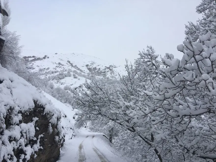 Van'da kar yolları kapattı: 83 yerleşim yerine ulaşım yok 12 Van'da kar yolları kapattı: 83 yerleşim yerine ulaşım yok 12