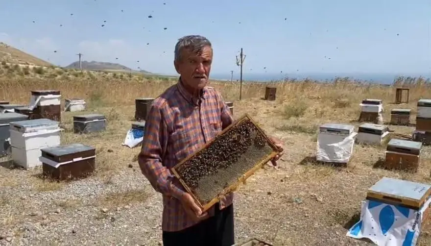 Türkiye’nin en yüksek rakımlı 3’üncü dağı! Sağım başladı, sütle karıştırınca uykusuzluğu bitiriyor 2 Türkiye’nin en yüksek rakımlı 3’üncü dağı! Sağım başladı, sütle karıştırınca uykusuzluğu bitiriyor 2